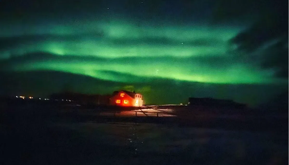 冰岛Varmahlid小镇的奶牛农场还可以看到极光。（WWOOF网站）