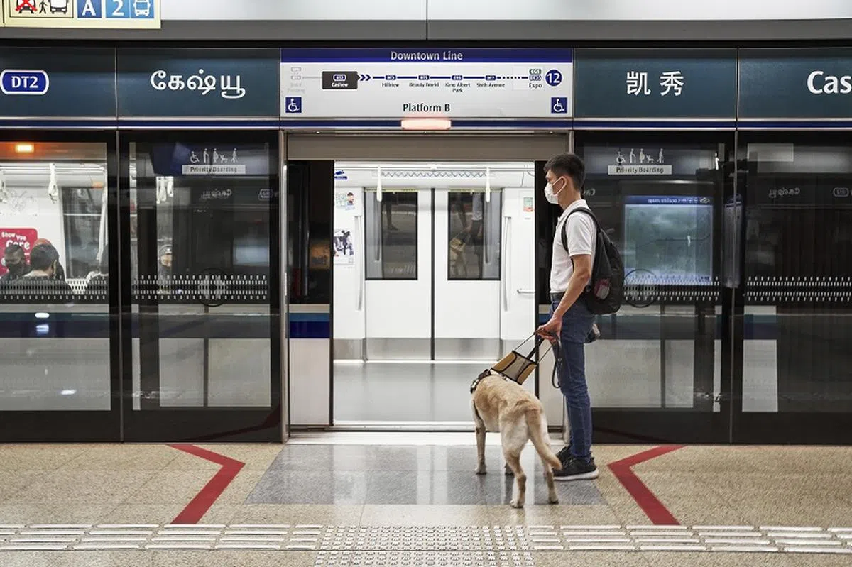导盲犬陪伴视障主人乘搭公共交通。（Guide Dogs Singapore提供）
