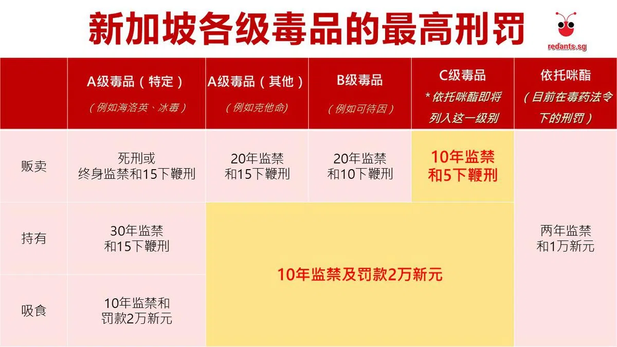 （李国豪制图）