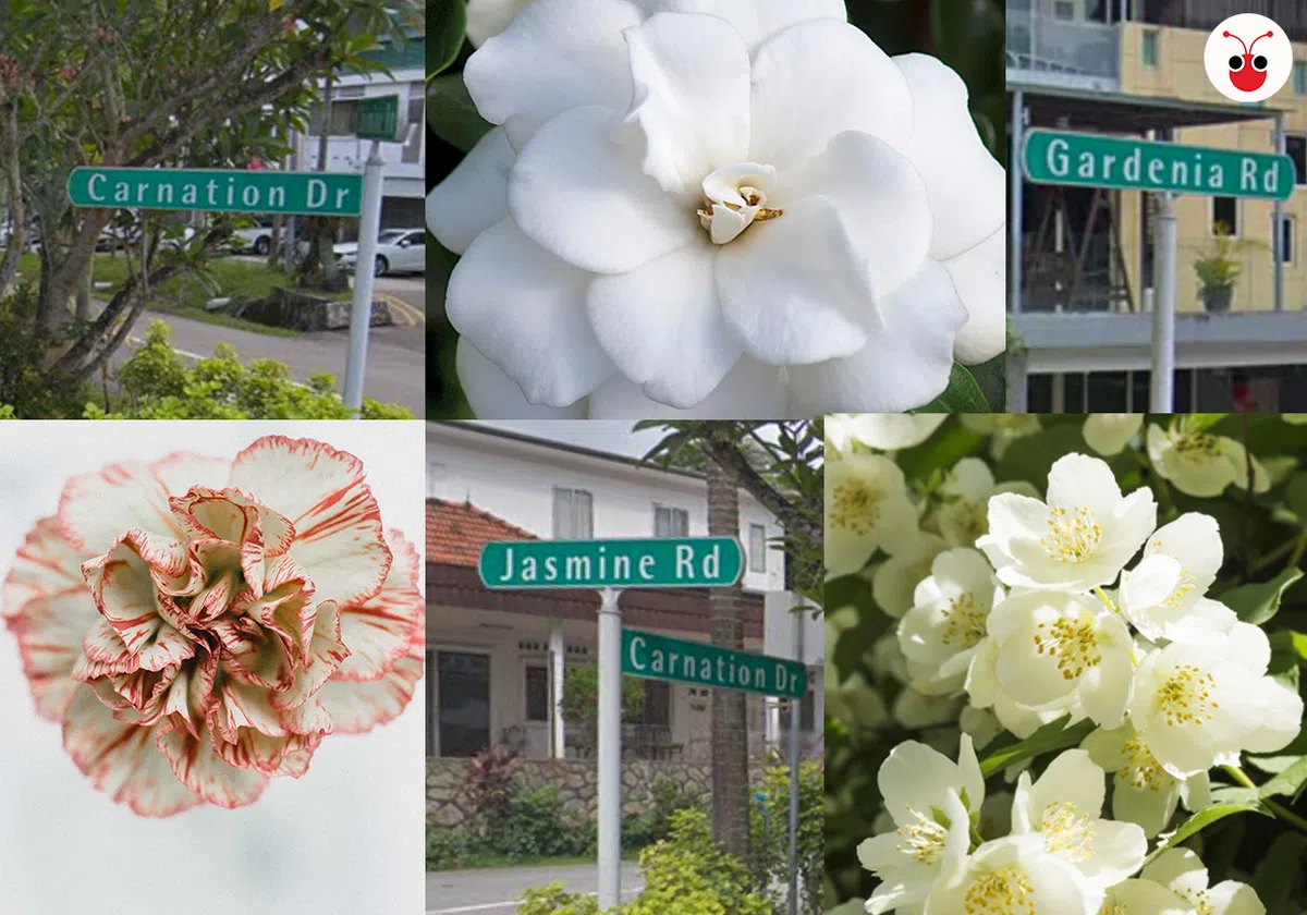  花草树木相似不说，走道和天花板设计也是一个风格，连色调都是偏冷色调，完全一个pattern。（Jewel Changi/滨海湾花园） 