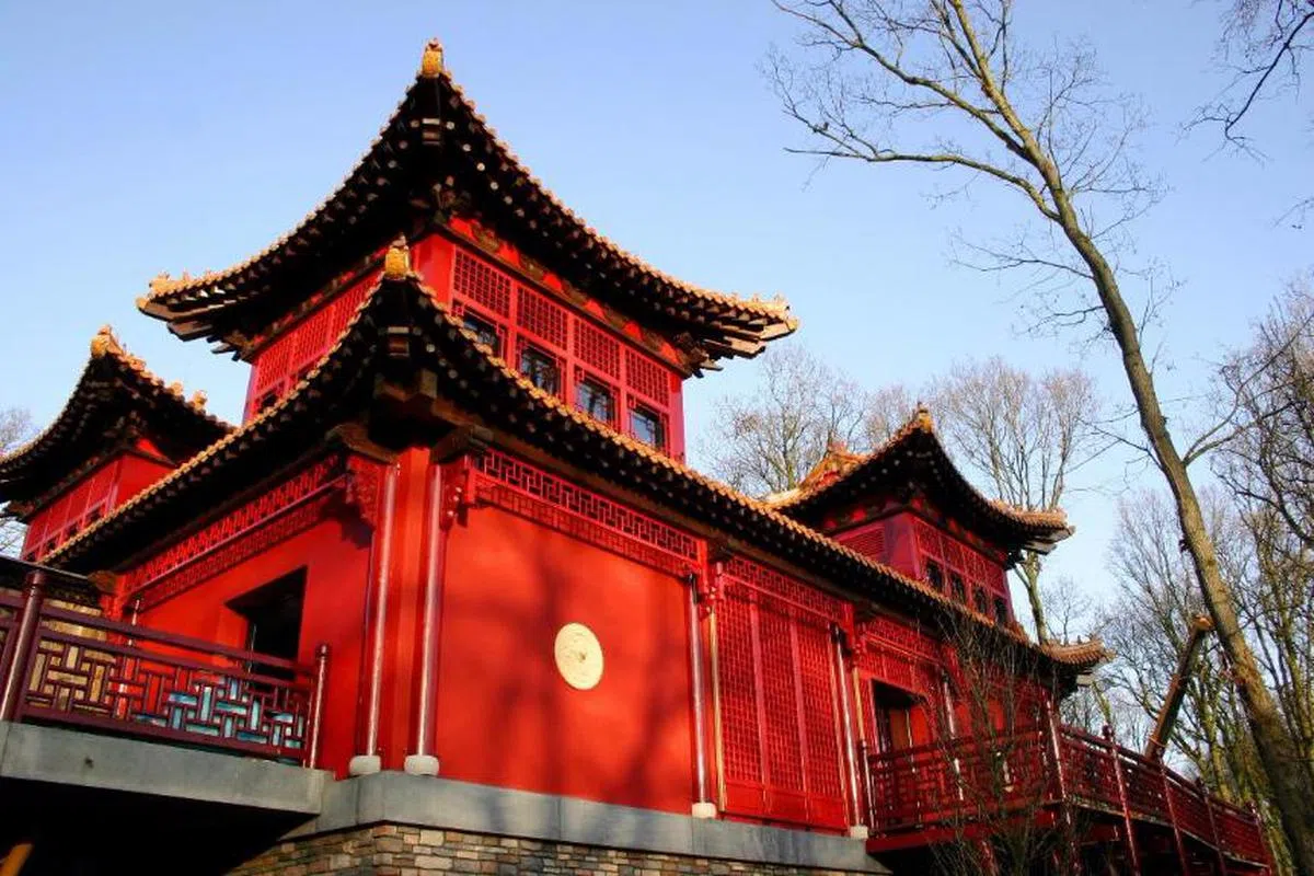  荷兰熊猫馆（互联网） 