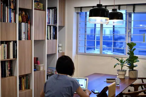 居家办公示意图。（海峡时报）