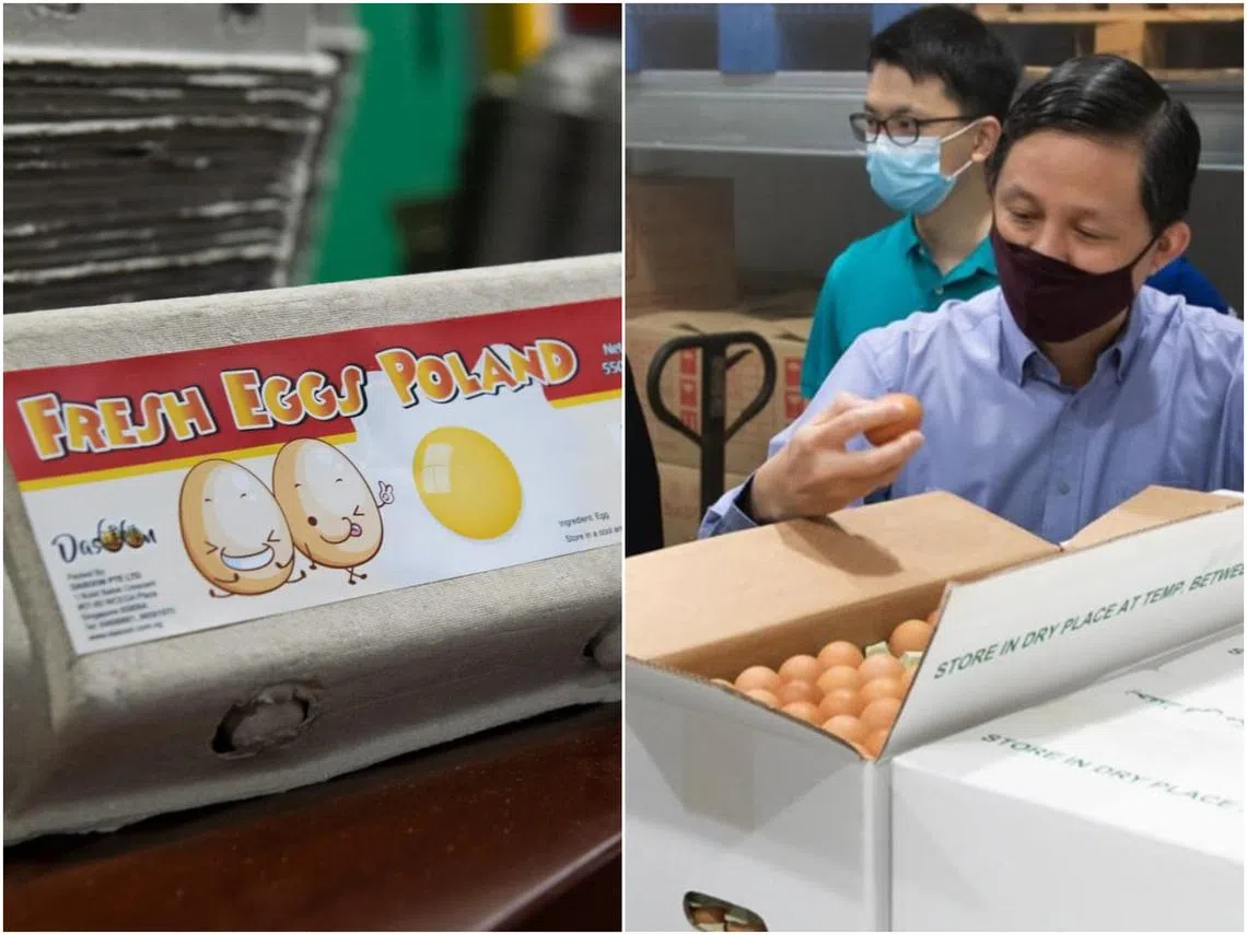 （陈振声面簿）