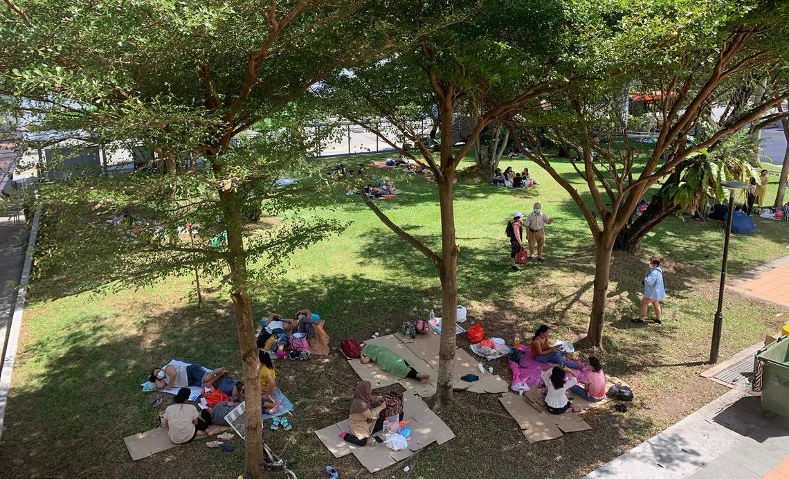 周末，女佣到公园聚集。（新明日报）