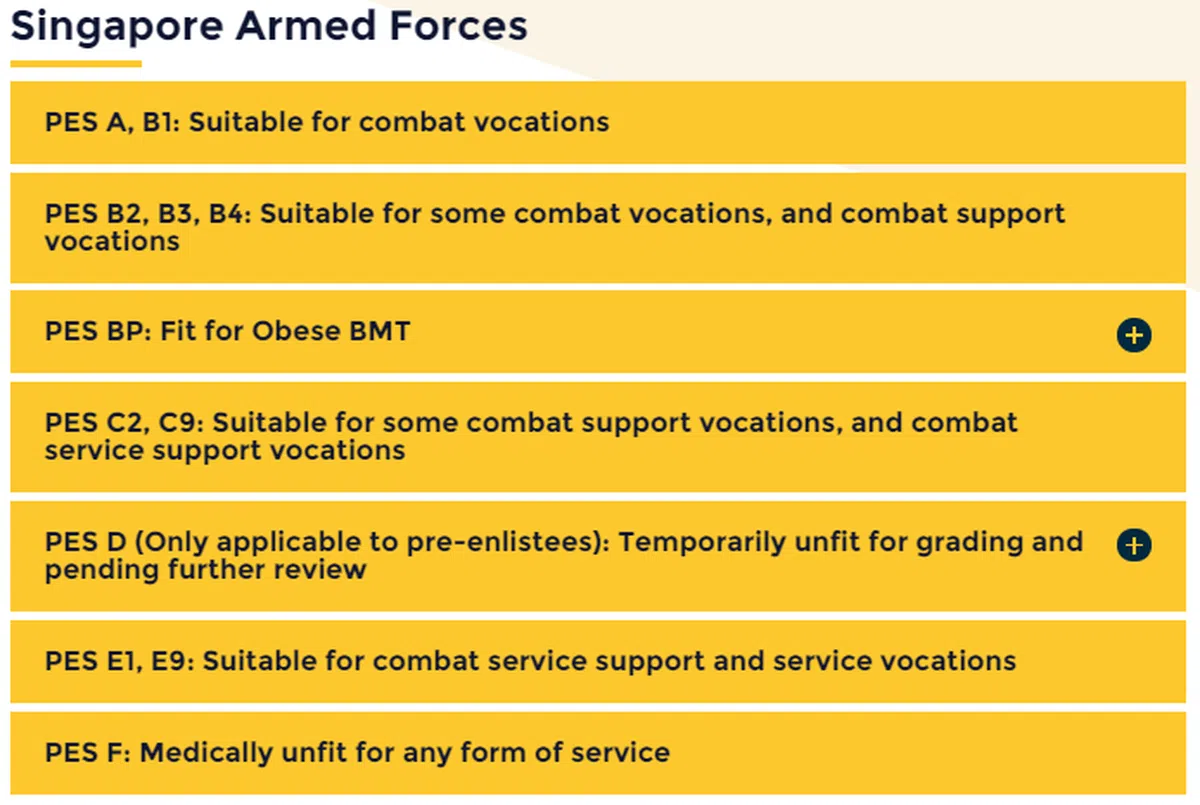  武装部队的PES等级。（取自国防部中央人力局网站） 