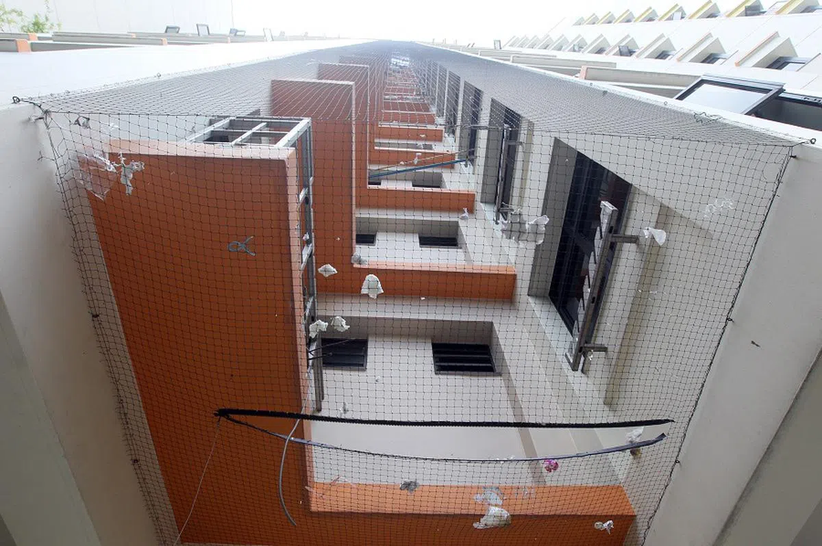 某组屋区安装了防鸟网，却成了垃圾网。（新明日报）