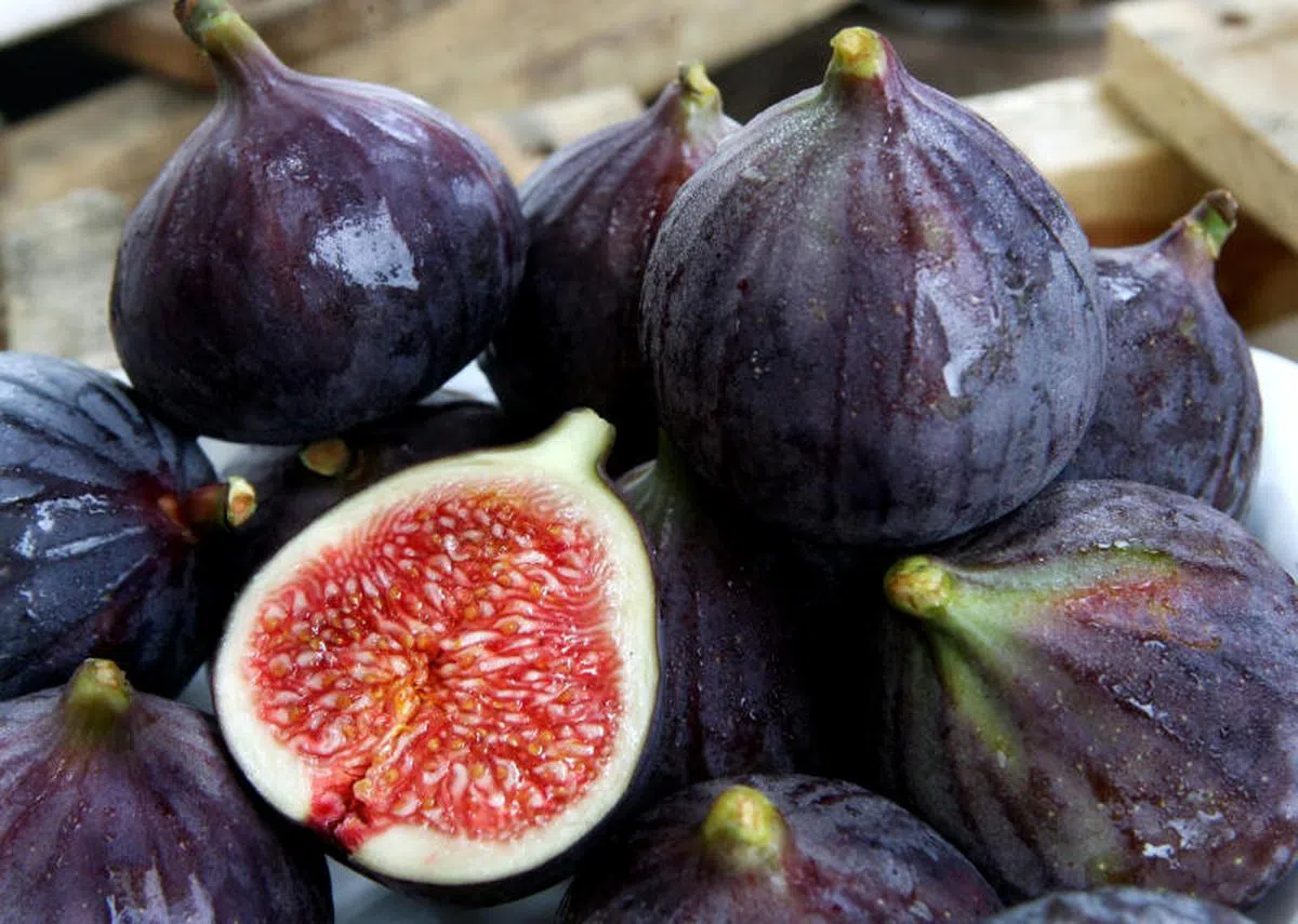 土耳其无花果。（海峡时报）