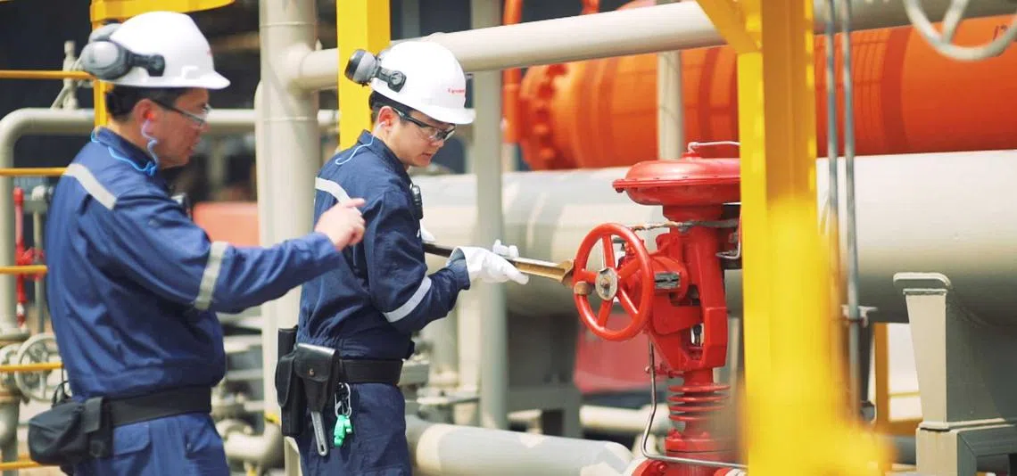 研究显示本地年轻国人中，工艺教育学院毕业生的薪资远低于大学毕业生。（海峡时报）