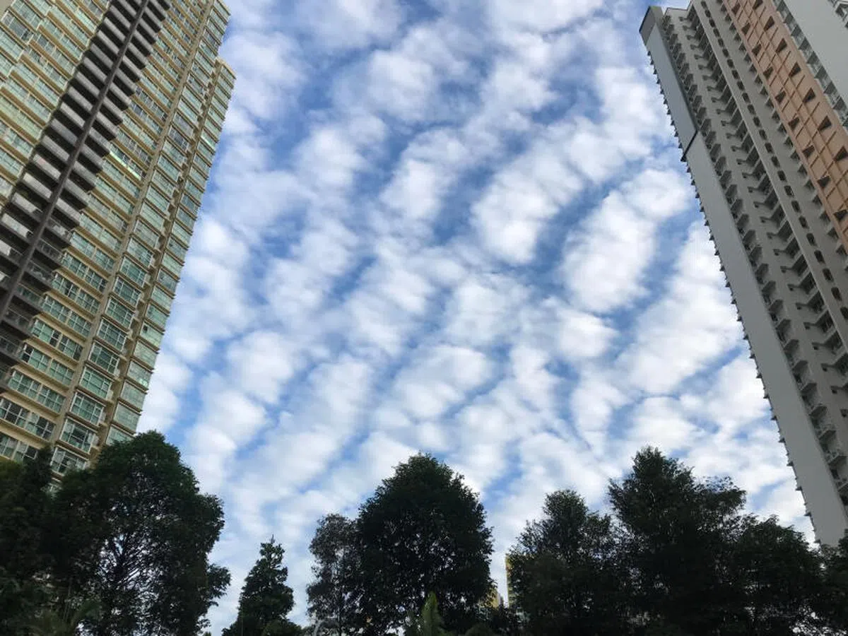 蓝天白云。天空中飘动的云彩，云朵如同一团团棉花糖。（联合早报）
