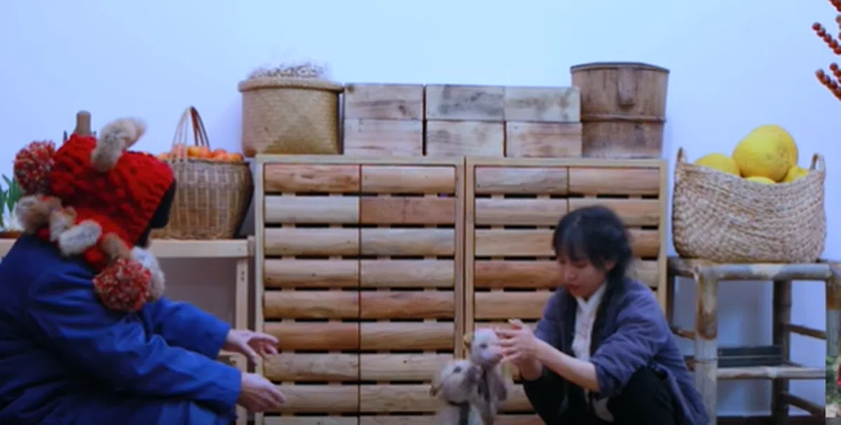  （李子柒视频截图） 