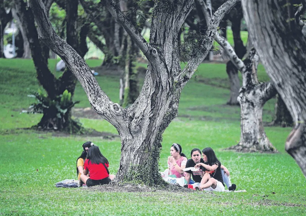 疫情暴发前，每逢周末，在本地工作的女佣都喜欢聚集在乌节路和公园。（海峡时报）