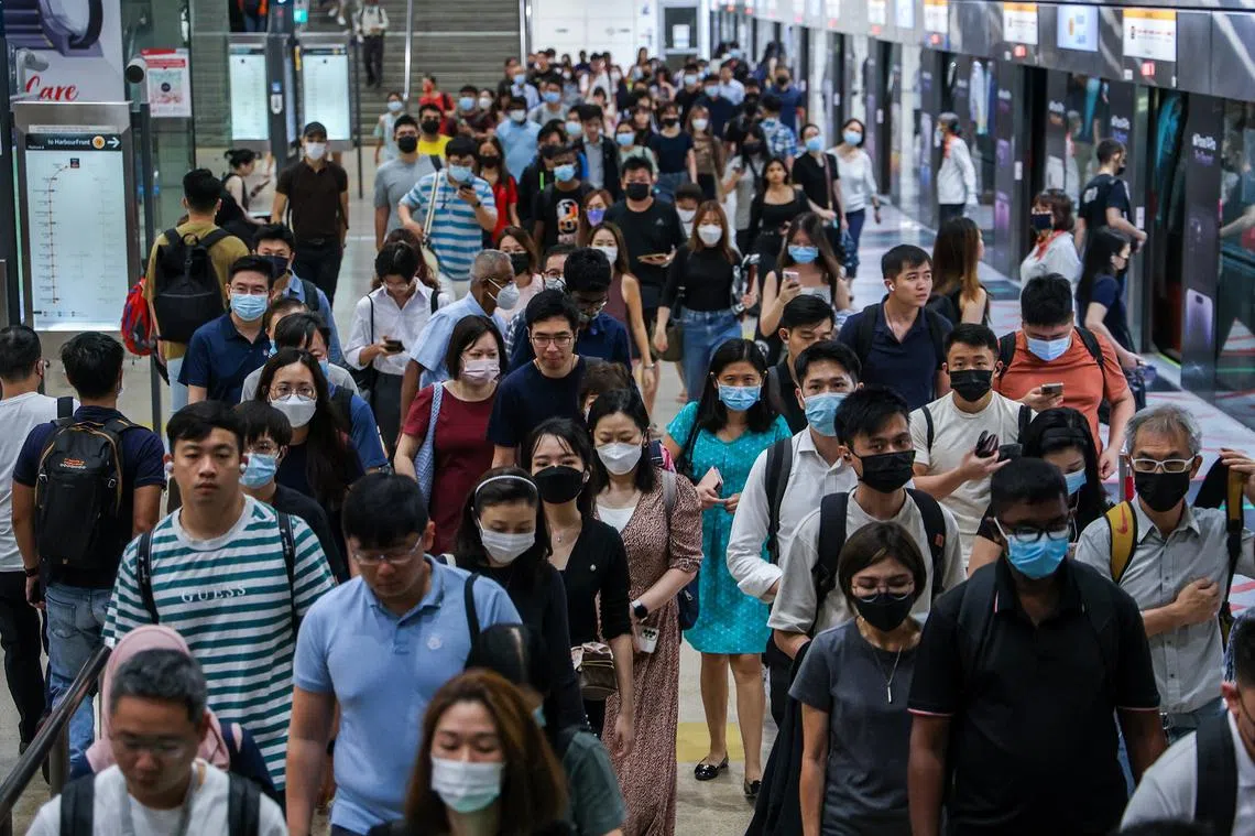 天道酬勤，新加坡抗疫成功还得靠三分运气- 红蚂蚁