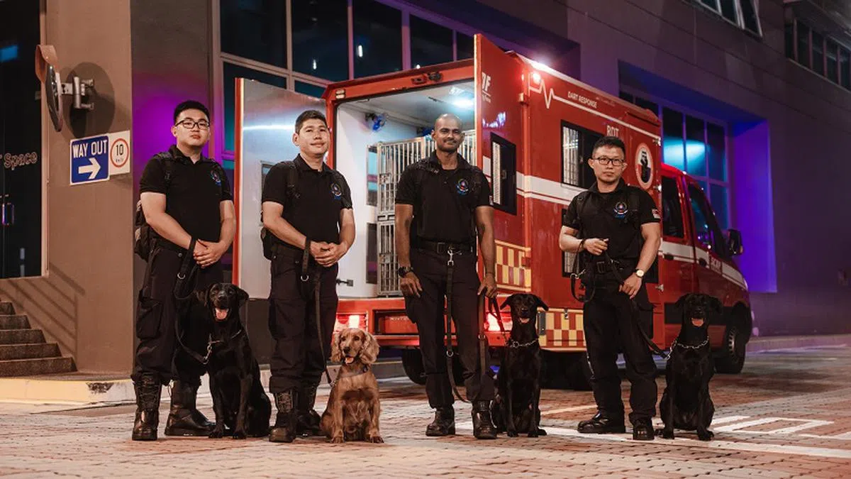 民防部队K9警犬组的四只搜救犬在搜救专员的带领下，参与救灾行动。（取自民防部队脸书）