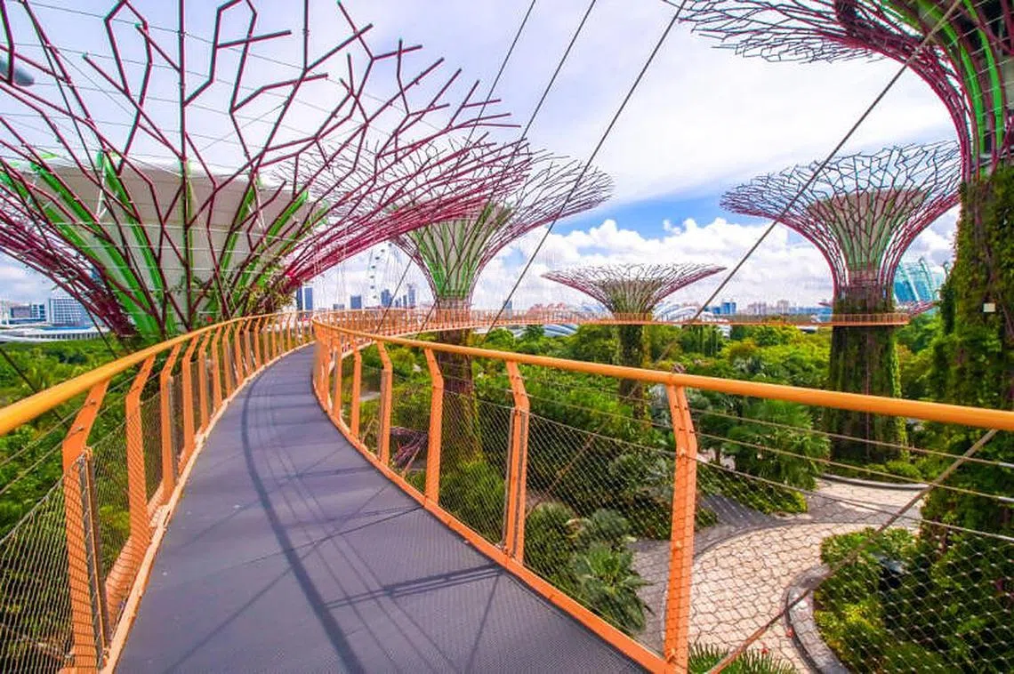 滨海湾花园花穹（Flower Dome）。（滨海湾花园）