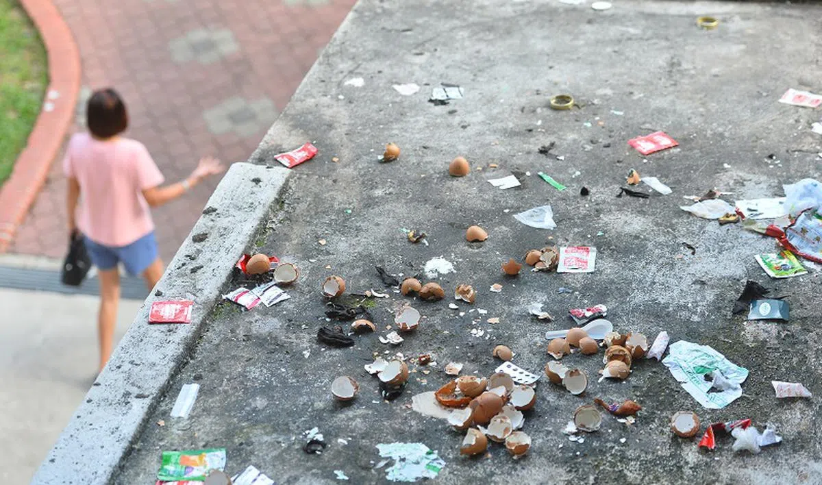 同疫情暴发前的两年相比，2022年和2023年有关乱丢垃圾的反馈增加了15%。（新明日报）
