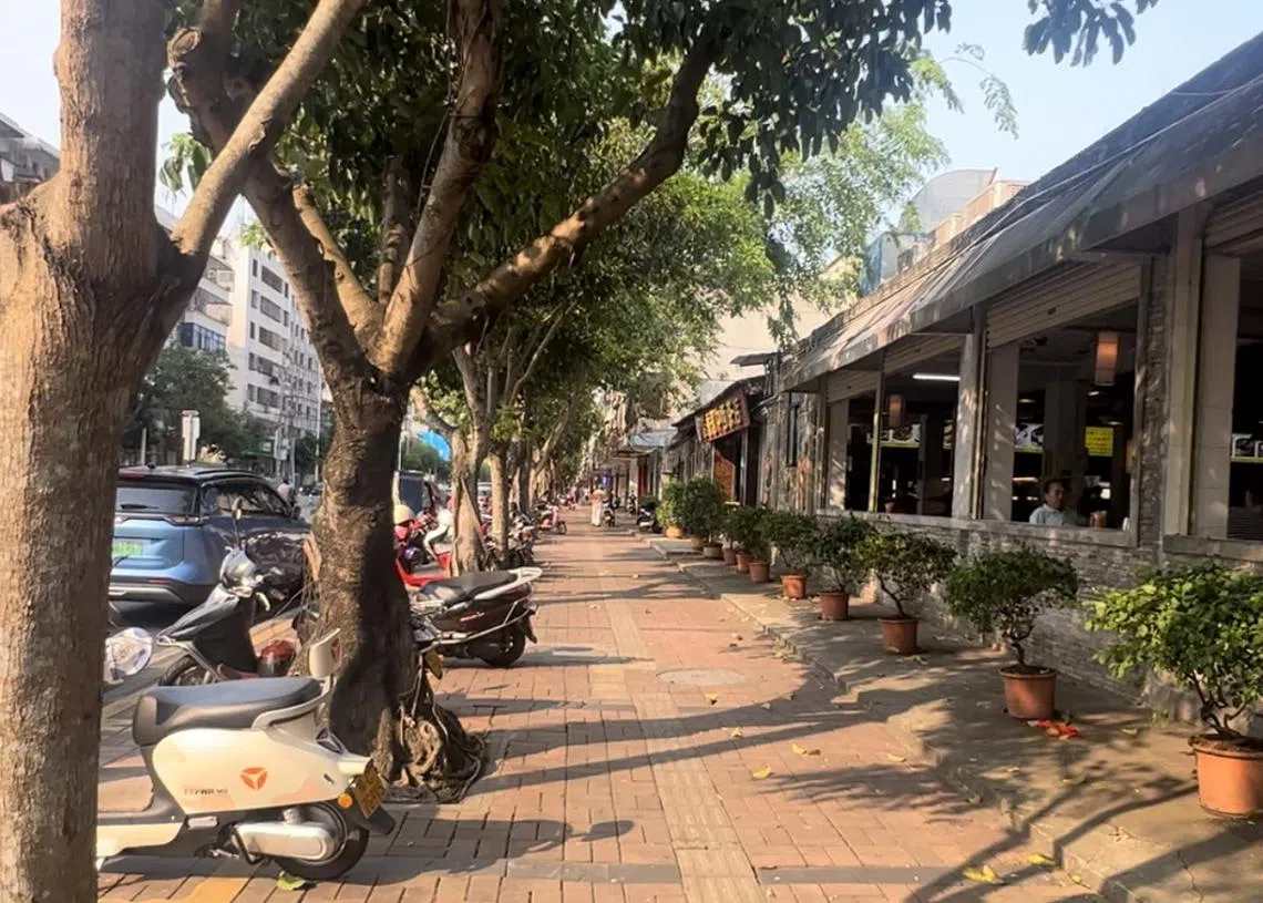 海南岛文昌市文城镇。（红蚂蚁摄）