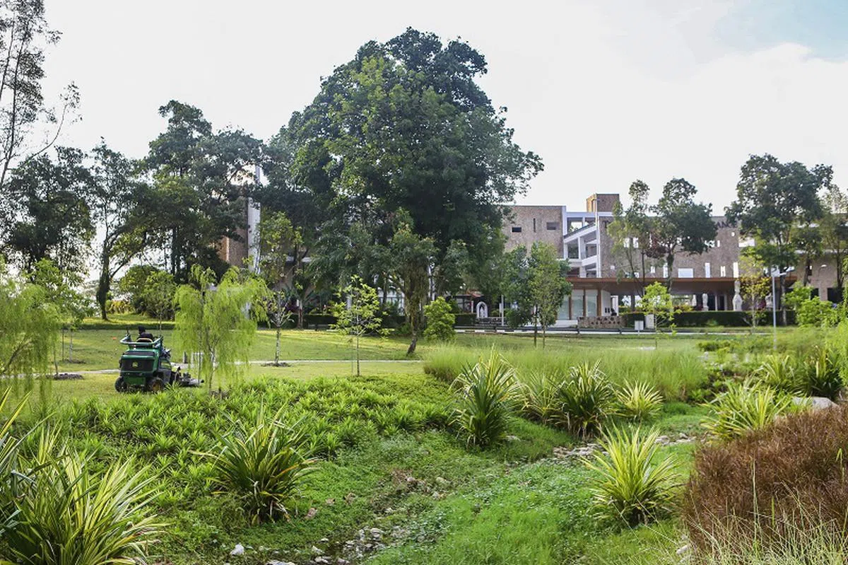  环境局将从2020年起推出陆地撒骨灰服务。蔡厝港基督教骨灰安置所“怀念园”附近的草坪，相信就是蔡厝港坟场用于陆地生态葬的地方，该处绿意盎然，环境清幽。（联合早报） 