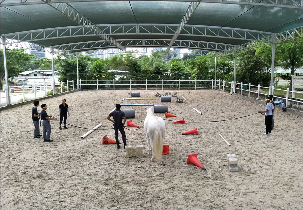  机构让学员和马匹一起进行富有挑战性的任务。（Equal-Ark） 