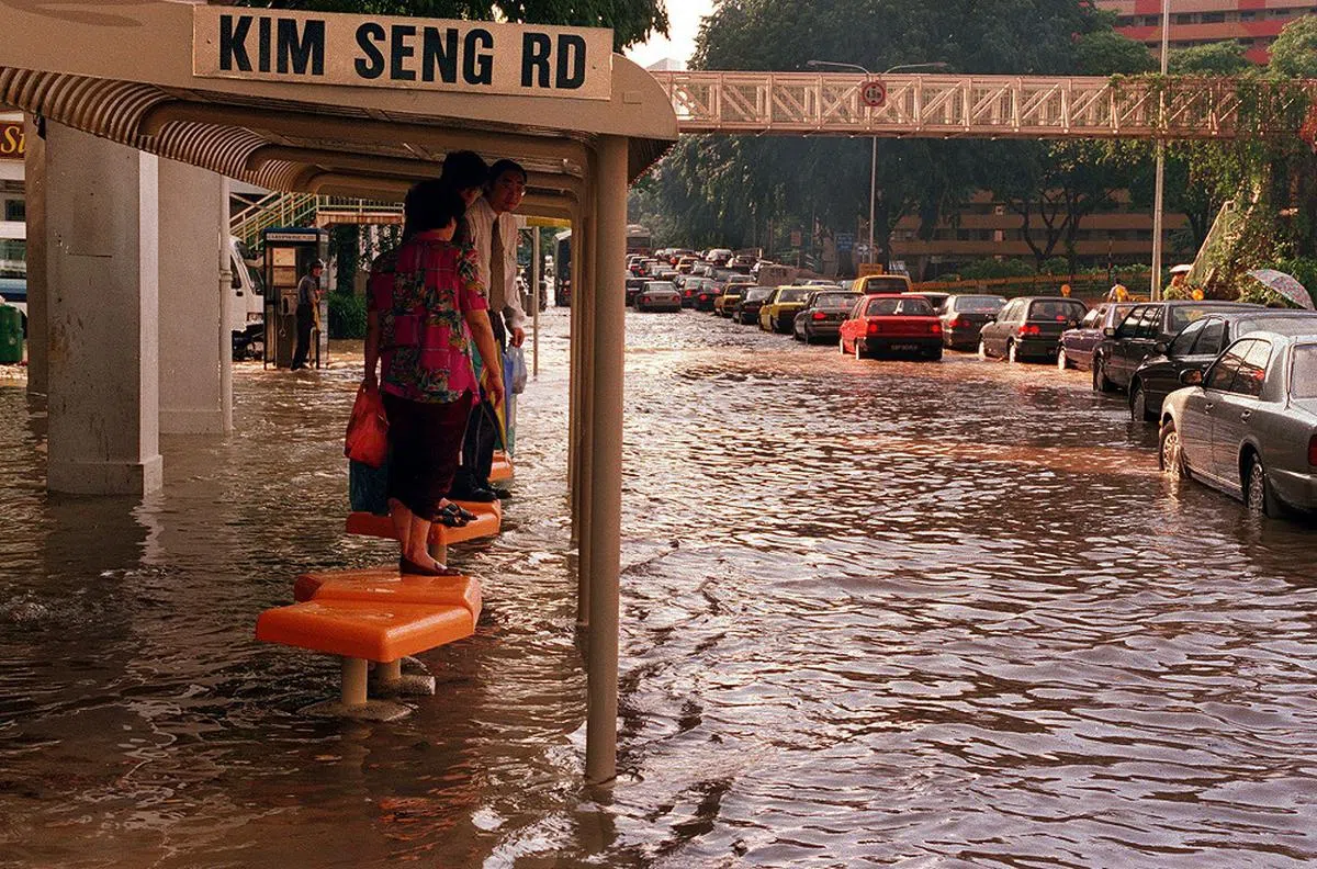 将近20年后的1996年，同样道理仍然适用！（海峡时报）