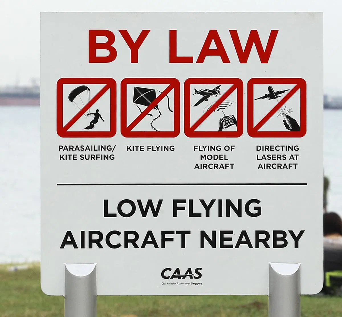 东海岸公园放置的一个告示，提醒人们放风筝属违法行为。（联合早报档案照）