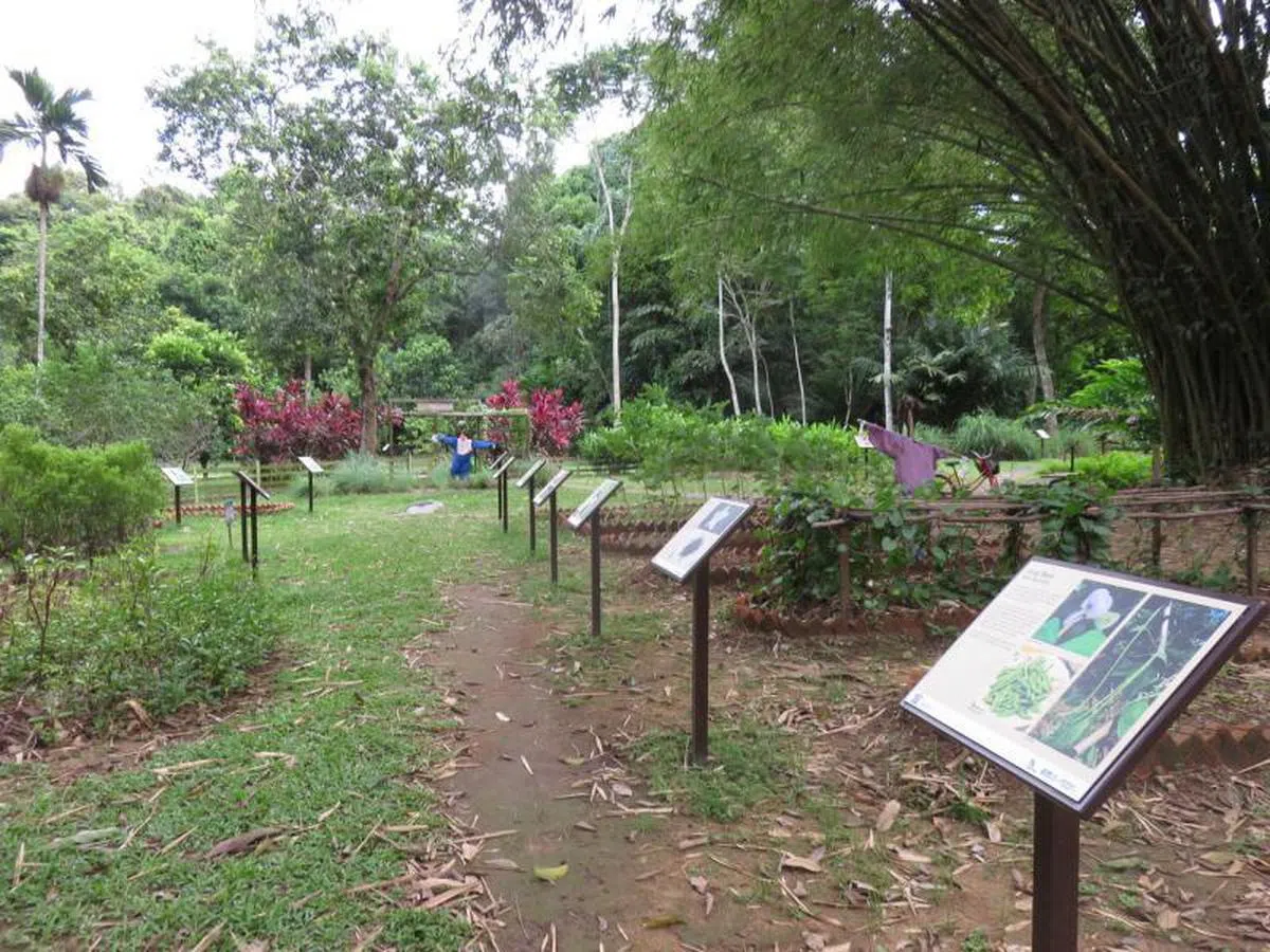  植物解说牌。（联合早报） 