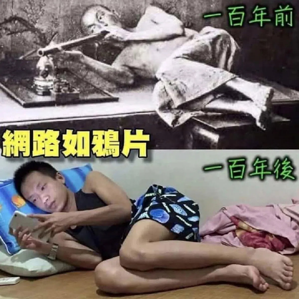 （作者提供）