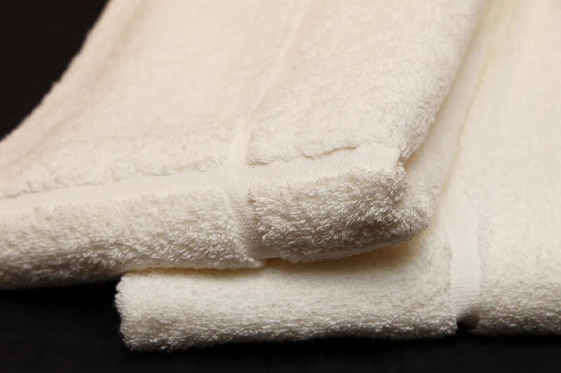 那条每天用来擦干洗净身体的浴巾，可能正是浴室里最脏的东西之一。（联合早报）