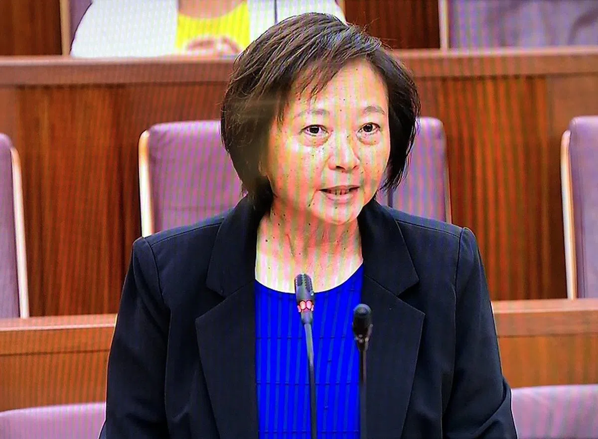  义顺集选区议员李美花。（国会视频截图） 