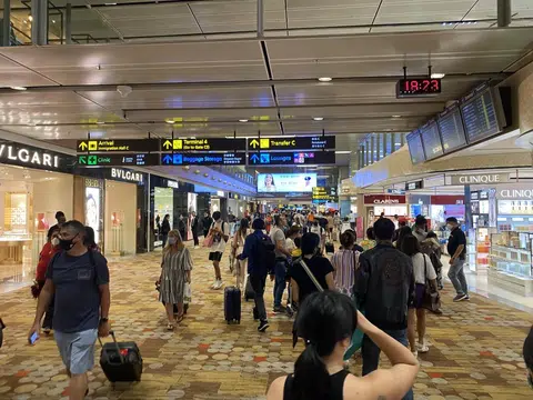 （红蚂蚁摄）