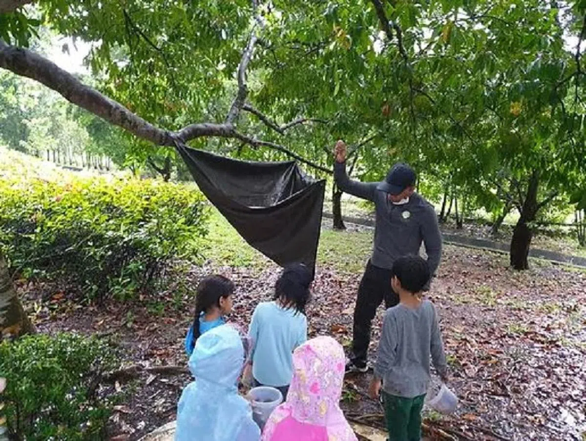 当孩童走进森林，就会懂得利用各项技能。（取自Nature Explorers School网站）
