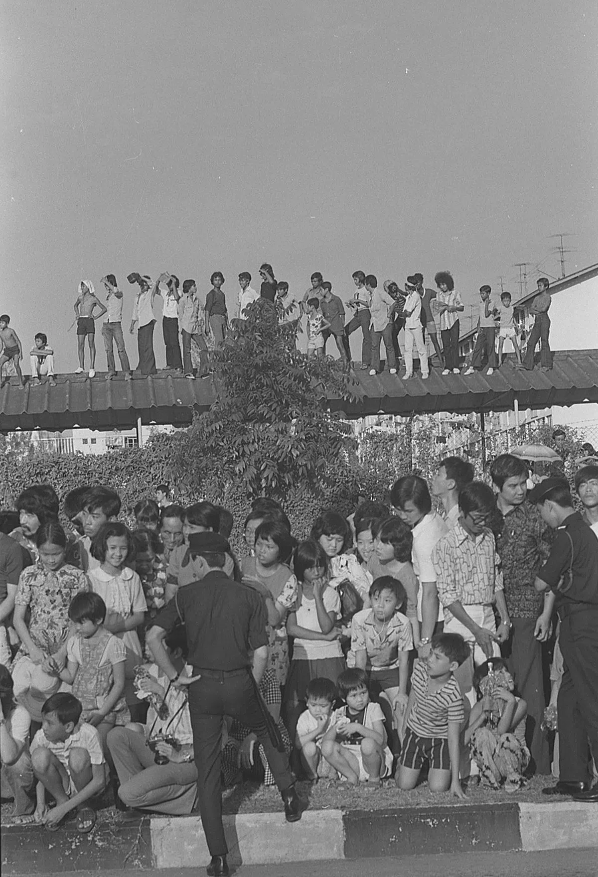 立道中学外，除了路边围观的公众，“登高”俯瞰庆典的人也不少。（南洋商报）