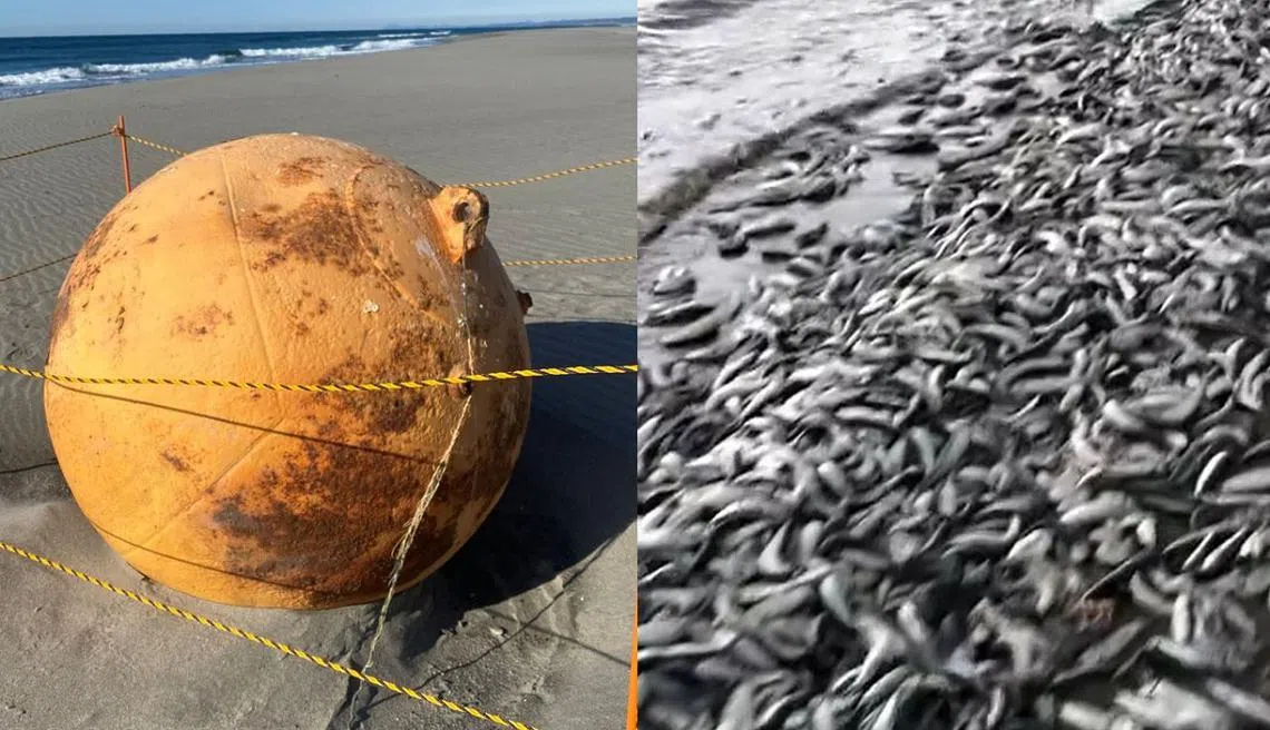 （推特截图／红蚂蚁制图）