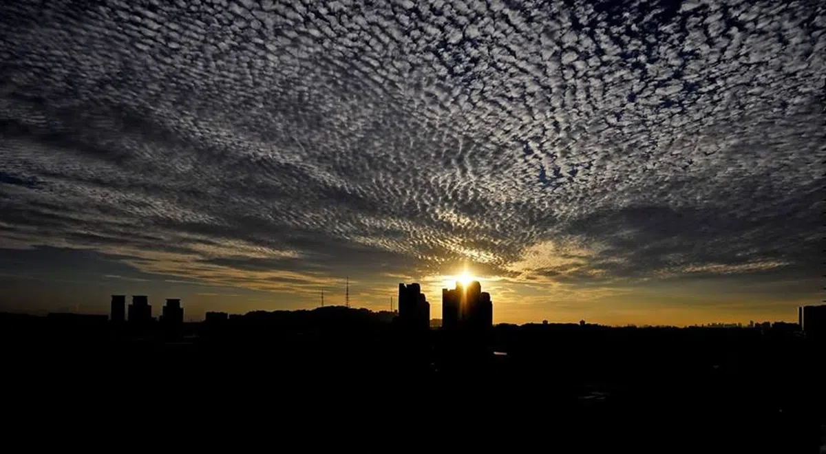  （取自Ng Toon Juan面簿） 