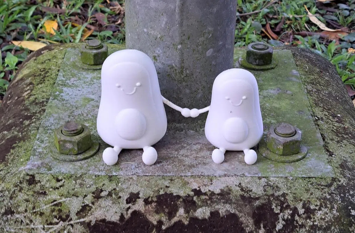 两颗牛油果，双重“威力”？（新明日报）