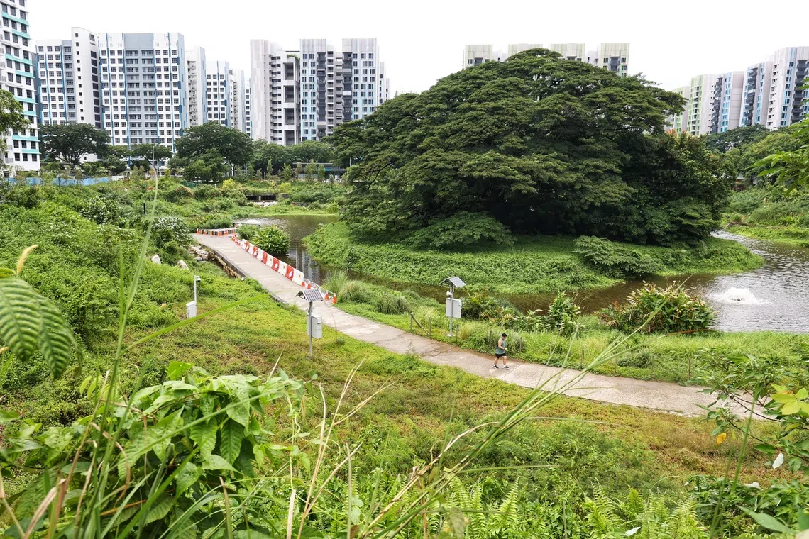 新加坡是个高绿化率的国家。许多组屋区周边都有公园。图为比达达利公园。