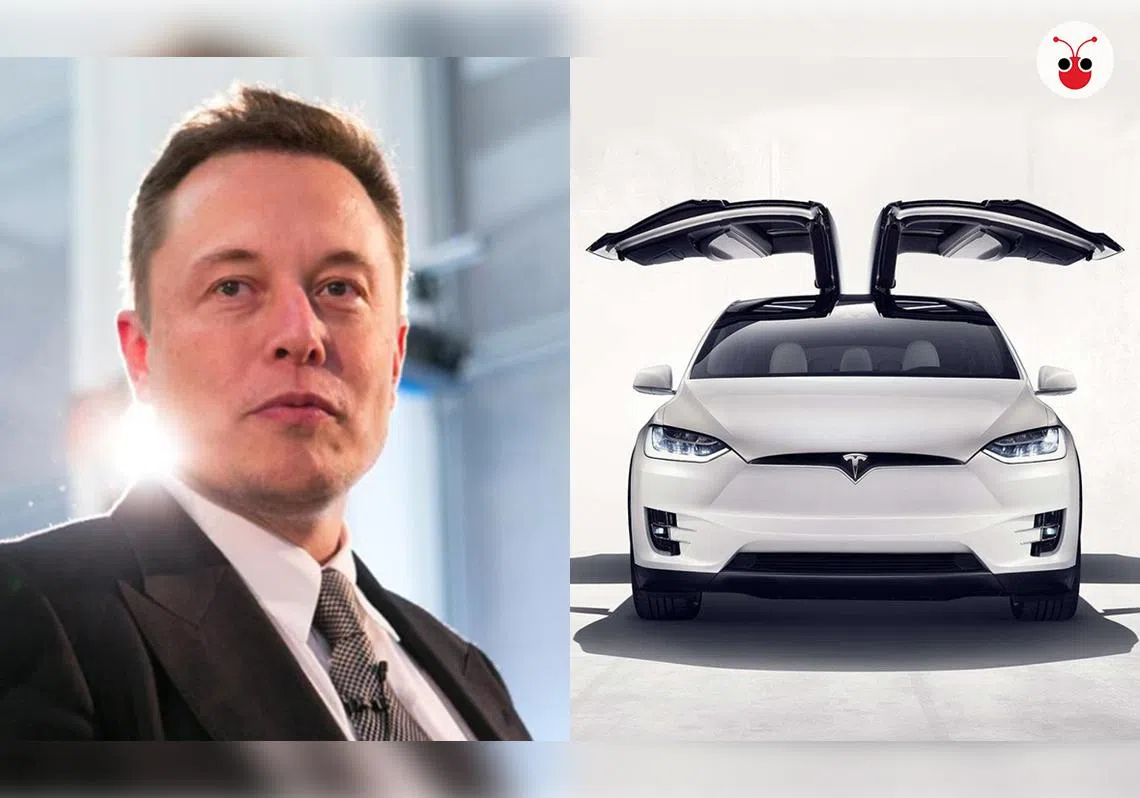 在答复网民问为什么TESLA还不来新加坡时，马斯克（左）说：“政府一直不欢迎。”（曾庆祥制图）