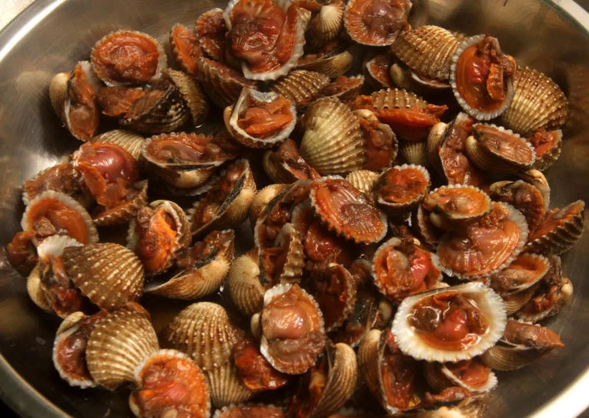  血蚶。（新报） 