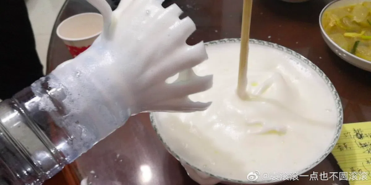  （袁滚滚一点也不圆滚滚） 