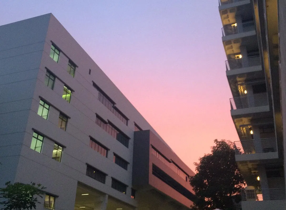  （2016年6月24日谢静怡摄） 