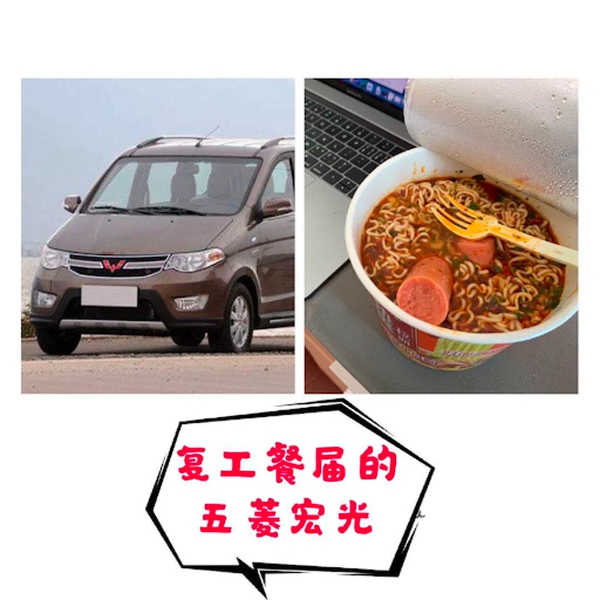  （大猪蹄子研究所） 