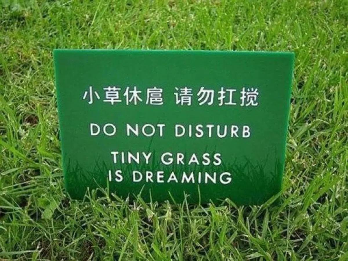  如此拟人的手法，外国人看得懂吗？红蚂蚁觉得还颇有诗意的。（互联网） 