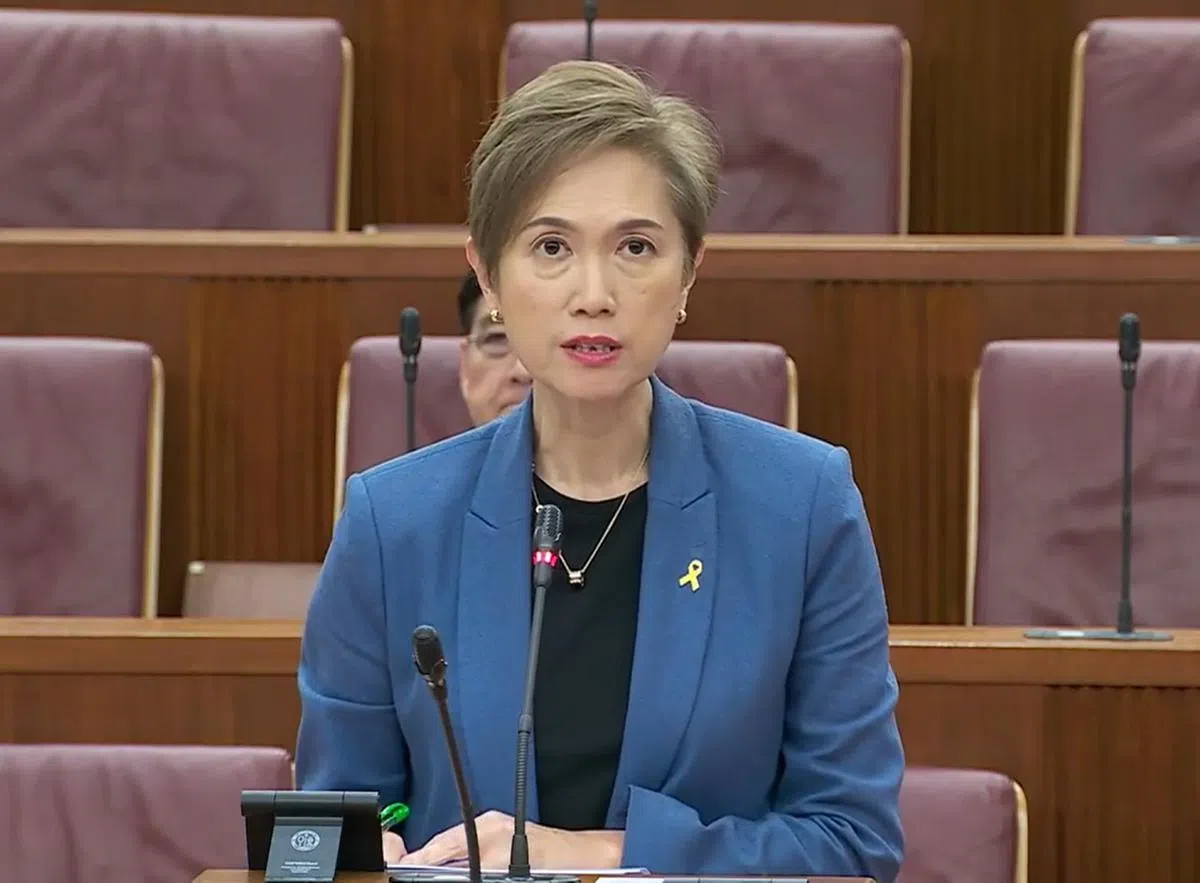 杨莉明。（通讯及新闻部国会视频截图）