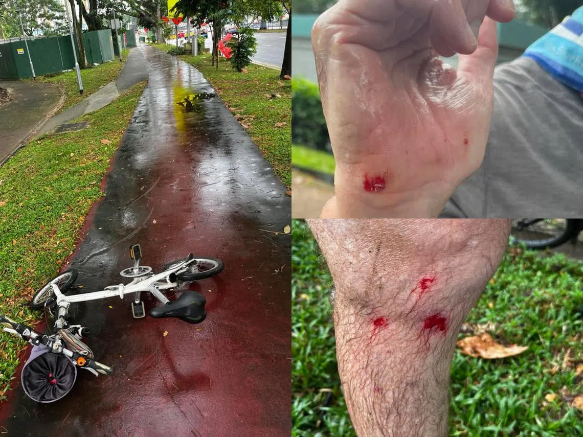 事故发生在宏茂桥1道靠近第220座组屋外的脚踏车专用道上。（曾菡庭提供）