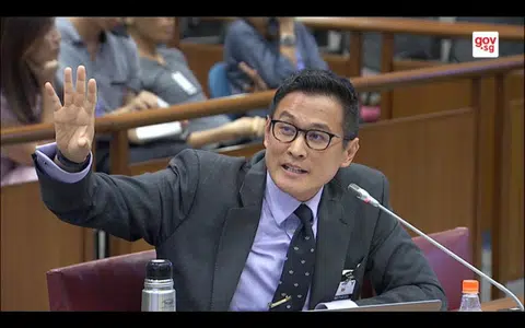 被官方贴上“修正主义历史学”标签的民间历史学者覃炳鑫利用听证会的机会，在陈情书公开指控人民行动党才是制造假新闻的最大元凶。（Gov.sg视频截图）