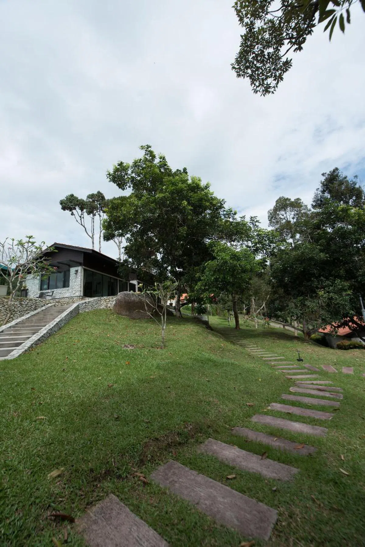  浮罗山背的榴莲园。（张丽珠摄） 