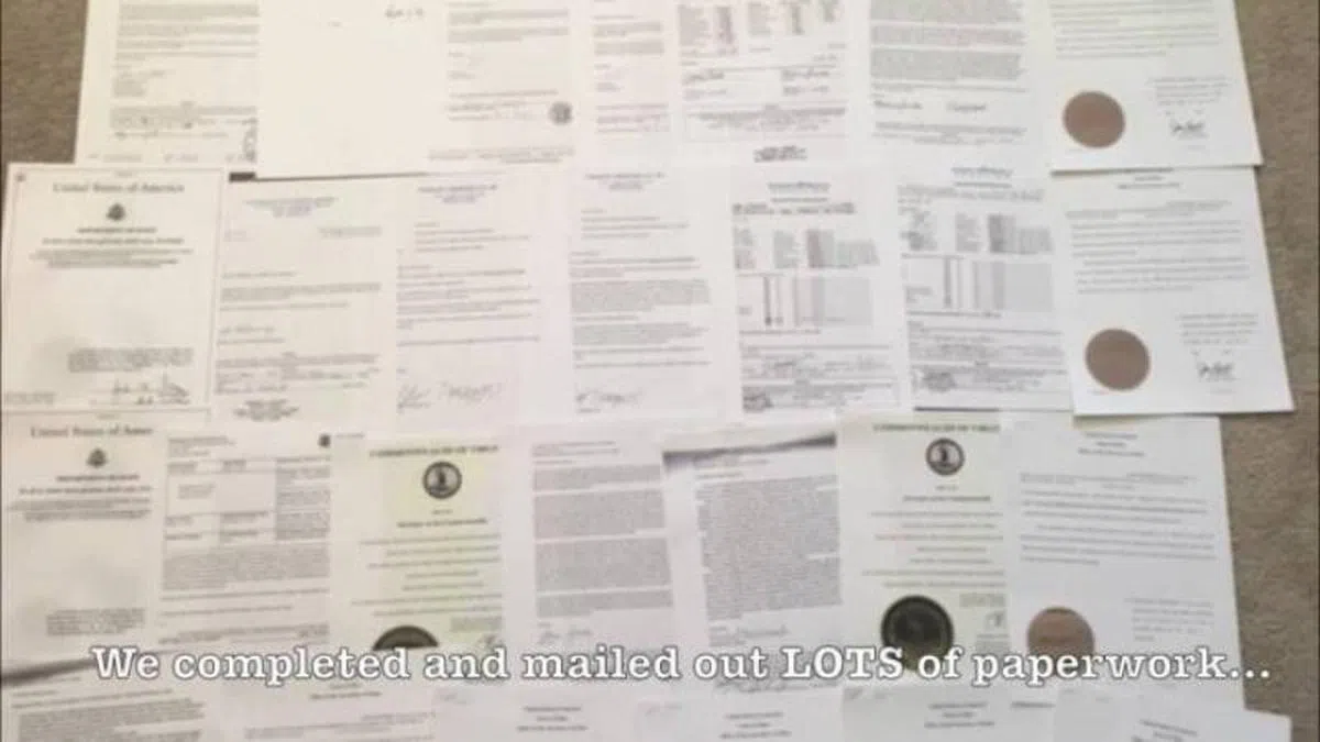  领养文件。（Becca的Instagram） 