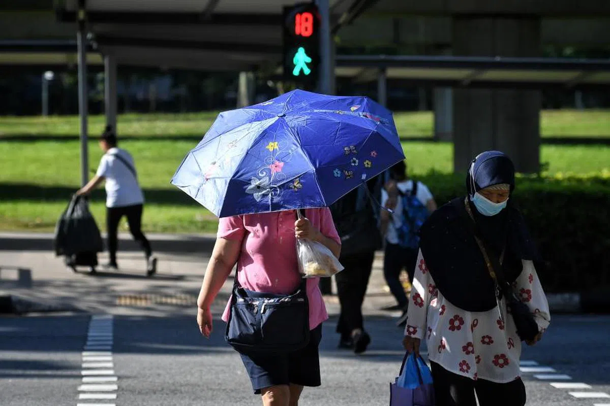 新加坡的高度城市化，也是本地气温上升的原因之一。（海峡时报）