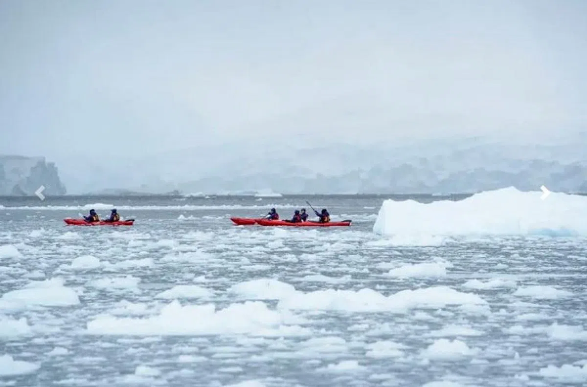 报告揭露，各类商业旅游和研究活动，正加速南极洲的白雪融化。（互联网）