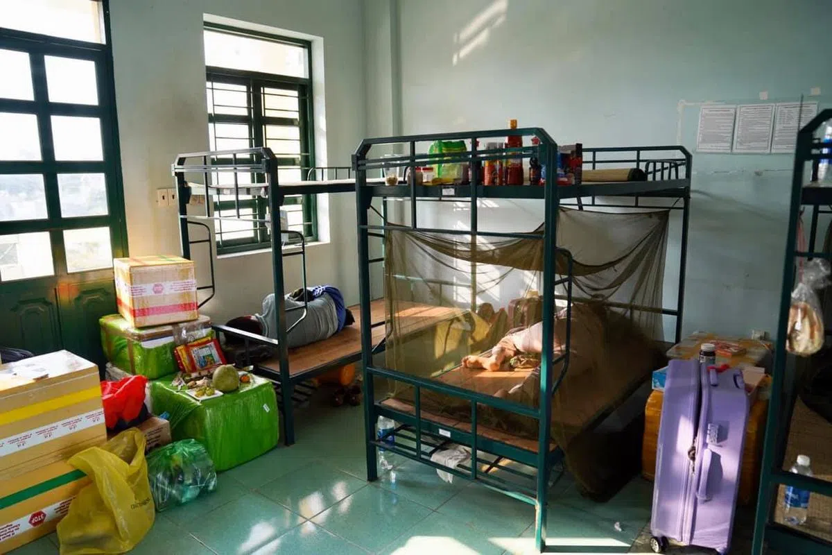 （Vũ Việt Linh面簿） 