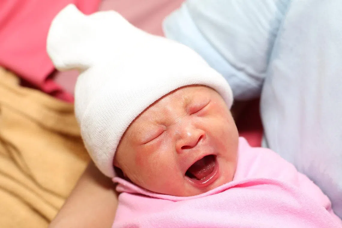 新生命的降生，总是给人们带来喜悦。（联合早报）